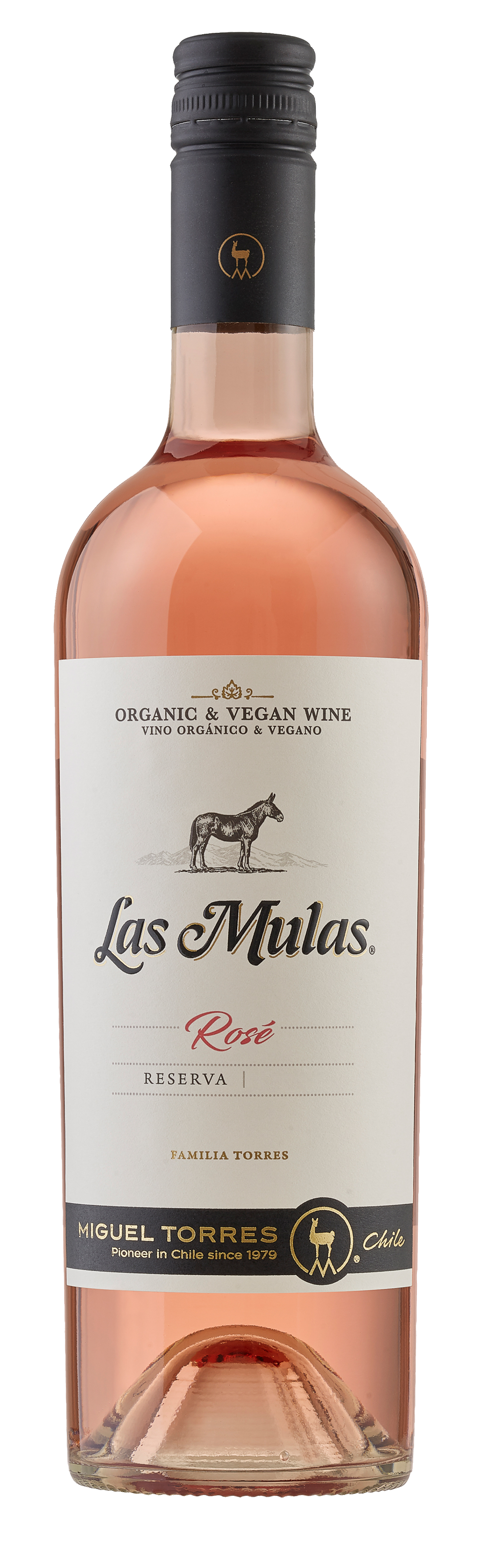 Miguel Torres Mulas Rose