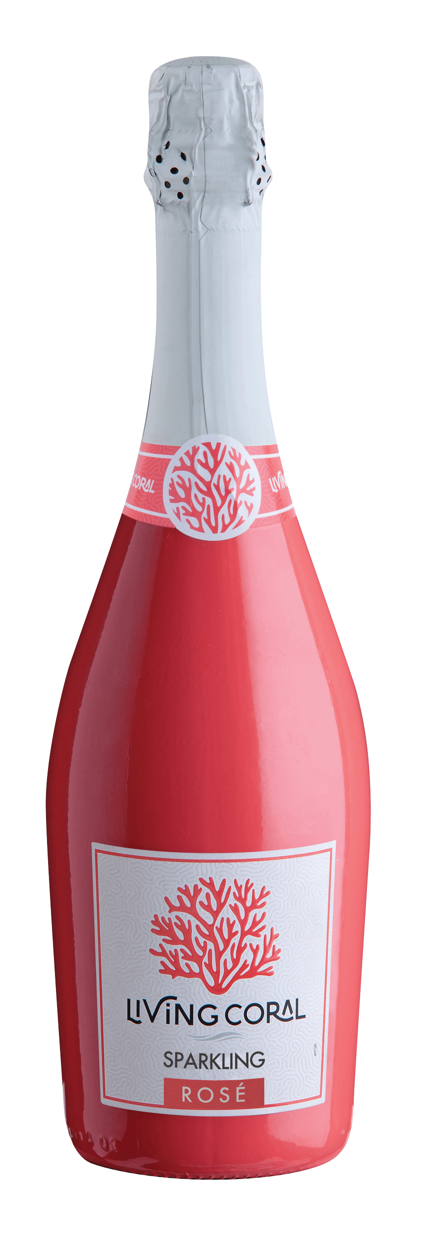 LIVING CORAL SPARKLING ROSE
