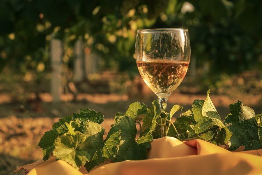 Pinot Grigio/Gris BeverageWarehouse