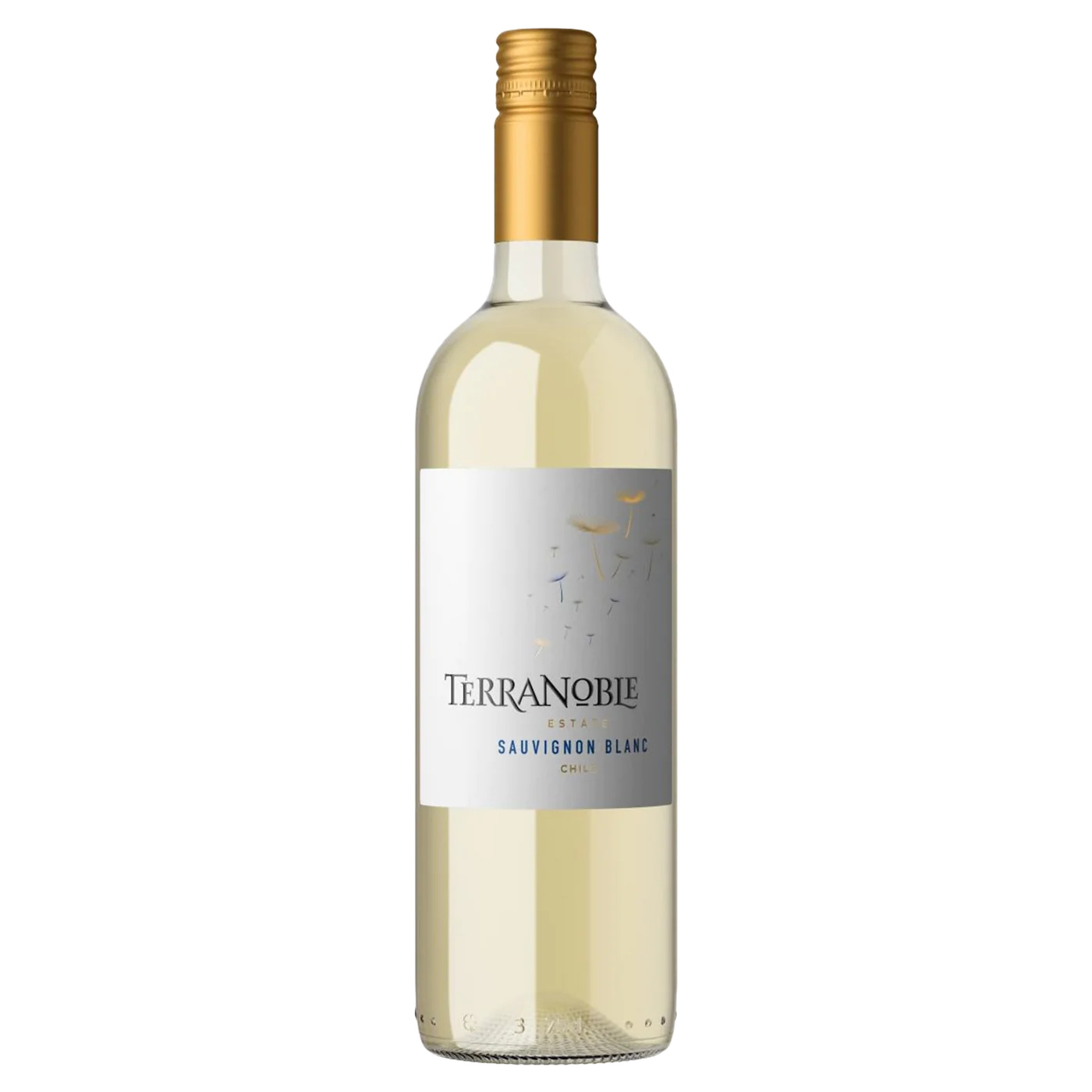 Terranoble Sauvignon Blanc Classic
